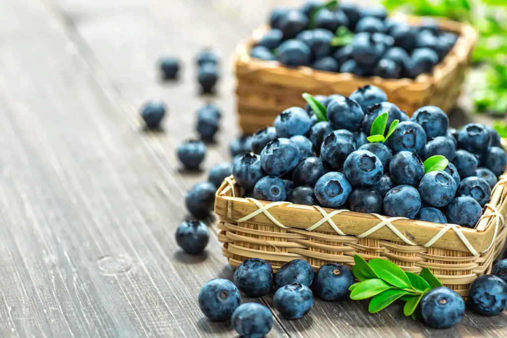 shutterstock 1464918137