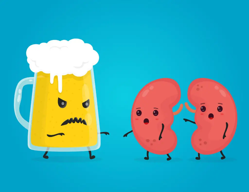 How Does Alcohol Affect Kidneys? Drinking, Kidney Failure, and Other Facts