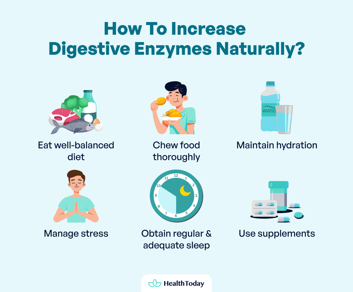 Types and Function of Enzyme Digestive 03 1