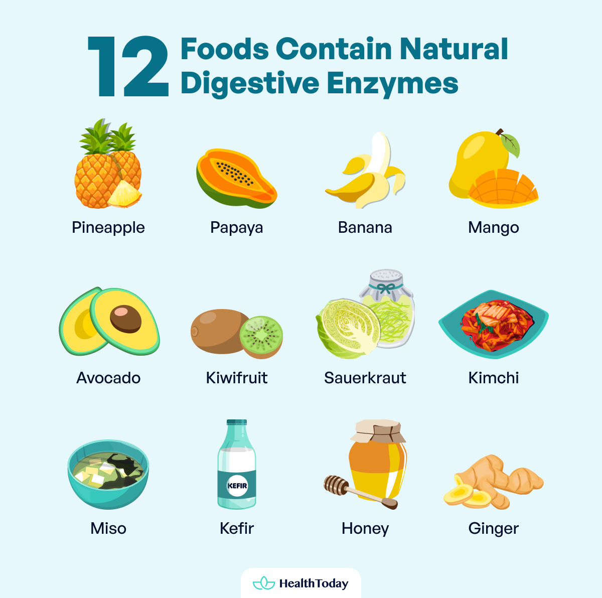 Types and Function of Enzyme Digestive 04 1